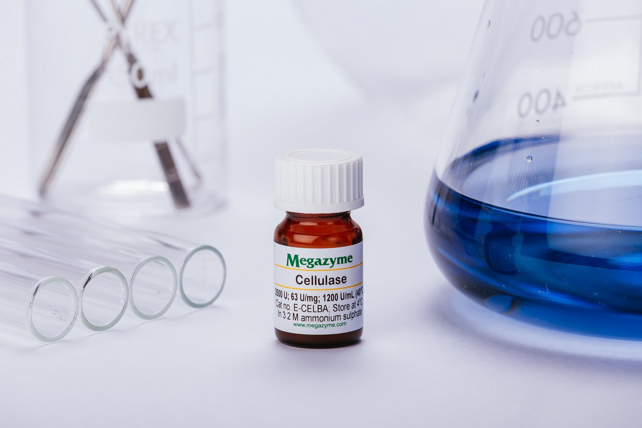 Cellulase (endo-1,4-beta-D-glucanase) (Bacillus amyloliquefaciens) (E-CELBA)
