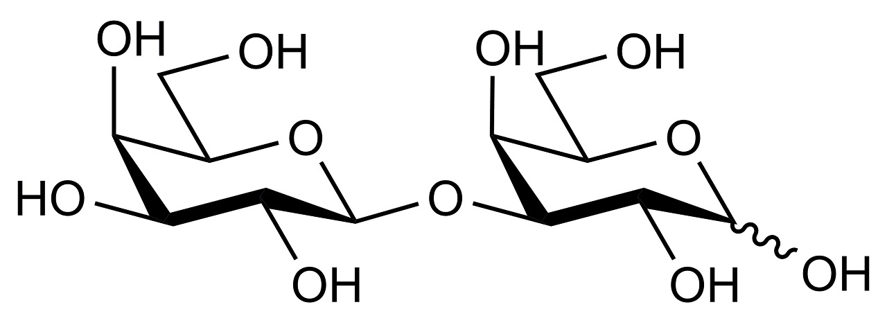 1,3-beta-D-Galactobiose (O-GBI3)