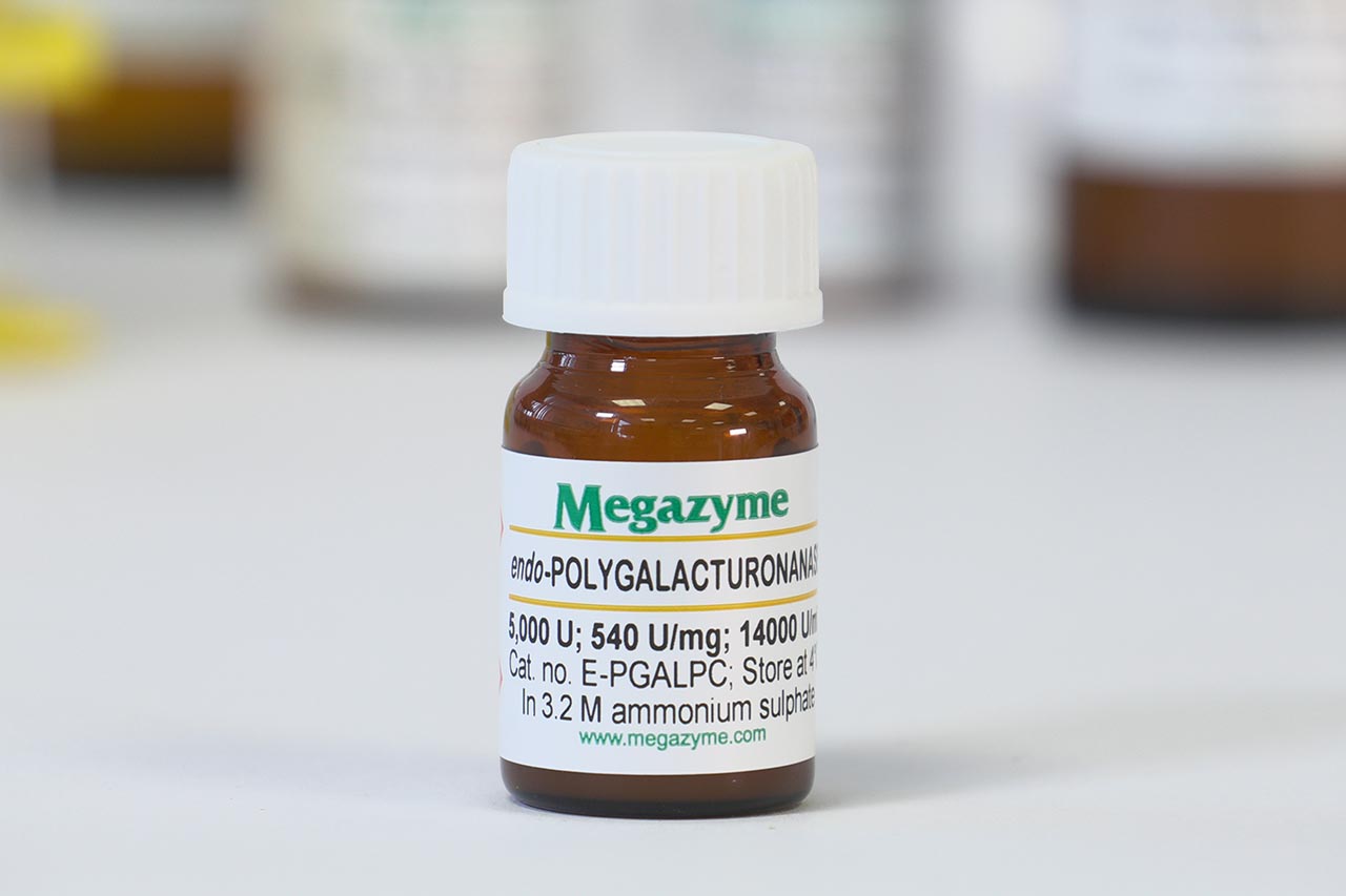 endo-Polygalacturonanase (Pectobacterium carotovorum) (E-PGALPC)