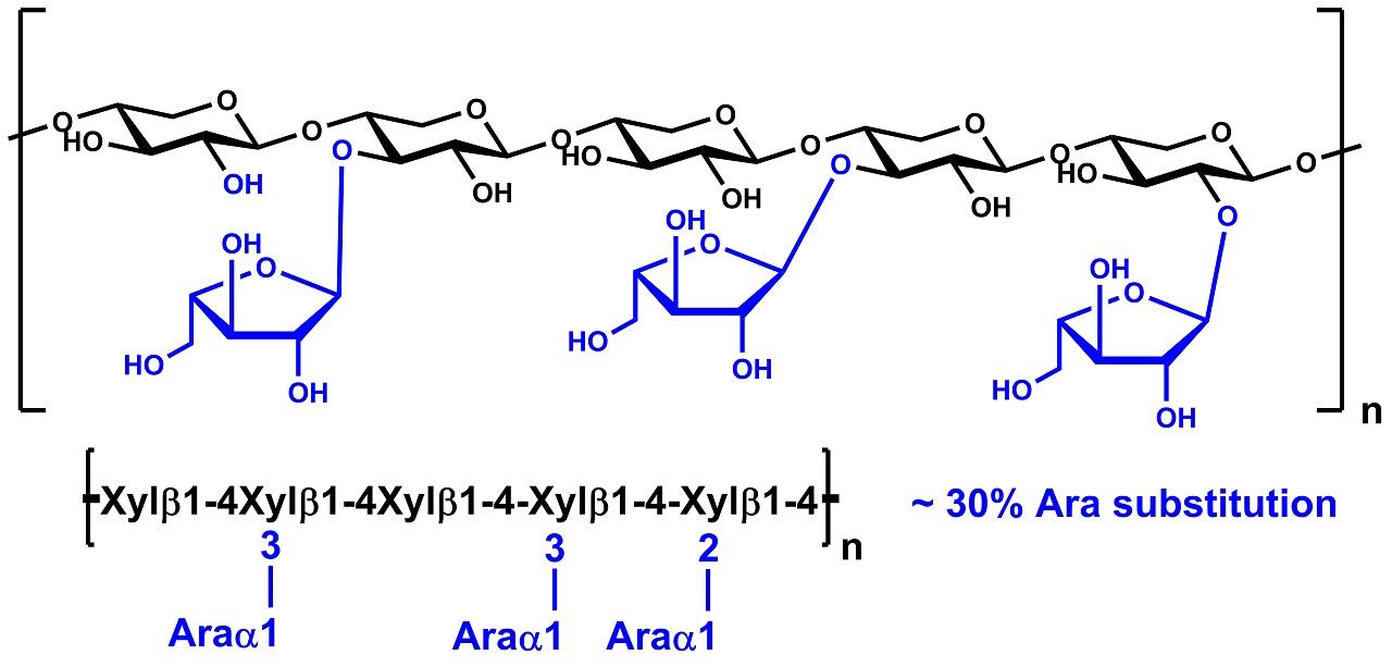 Wheat Arabinoxylan (enzyme debranched, 30% Ara) (P-EDWAX30)