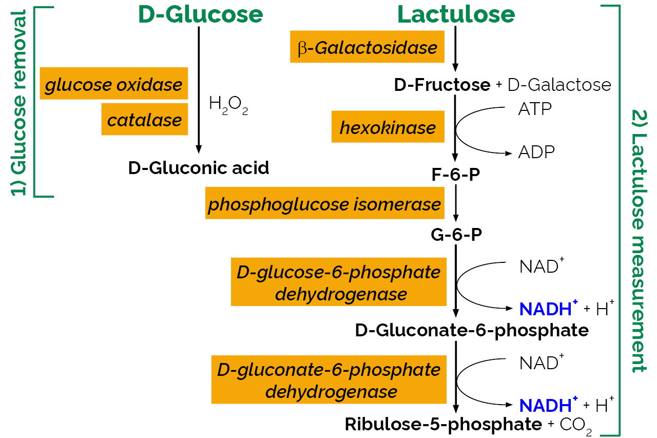 Lactulose Assay Kit (K-LACTUL) Scheme