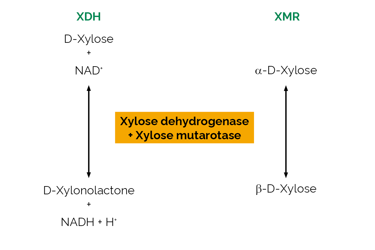 Xylose dehydrogenase + Xylose mutarotase (E-XYLMUT) Scheme Xylose dehydrogenase + Xylose mutarotase (E-XYLMUT) Scheme
