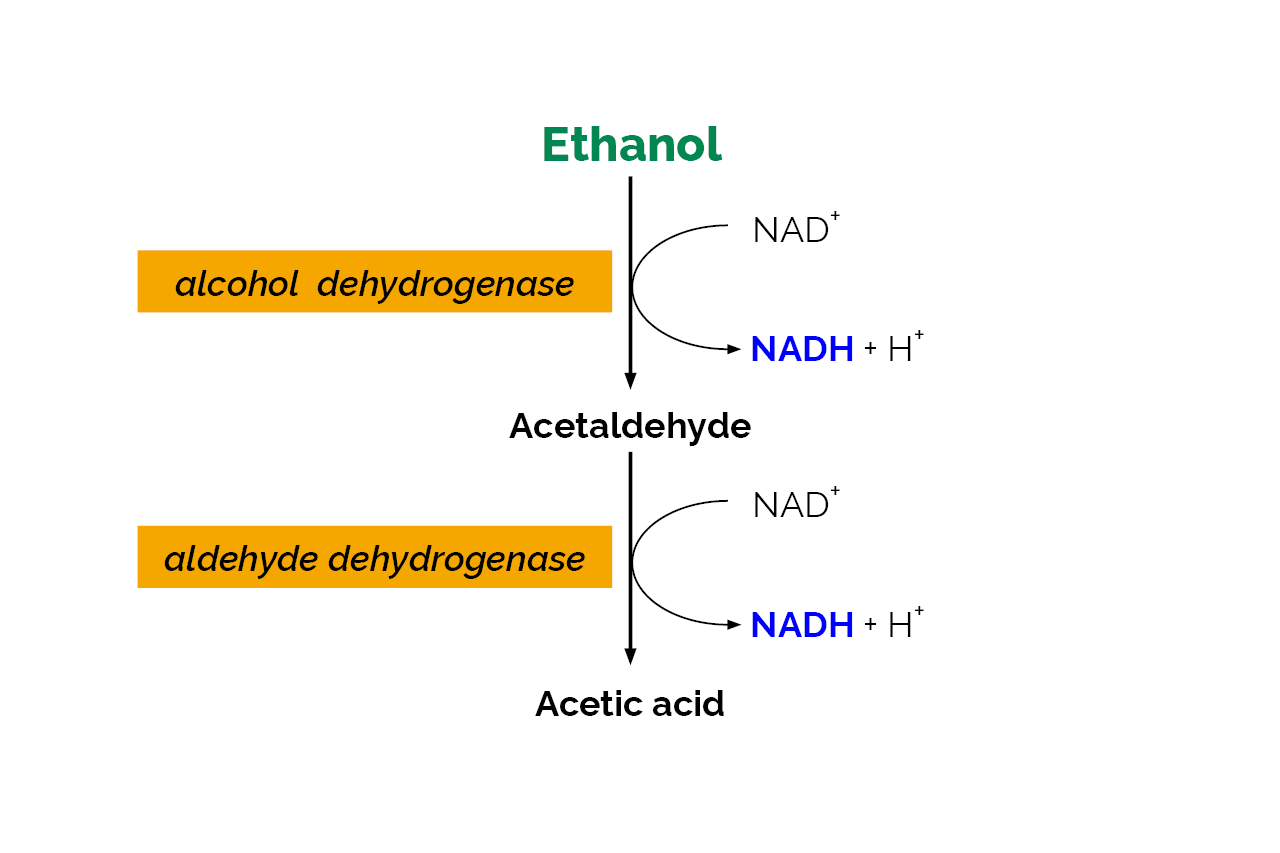 Ethanol Assay Kit (K-ETOH) Scheme Ethanol Assay Kit (K-ETOH) Scheme