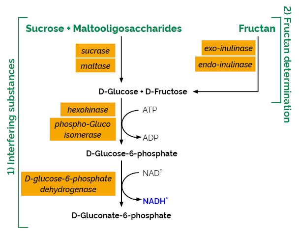 Scheme-K-FRUCHK FRUCHK Megazyme