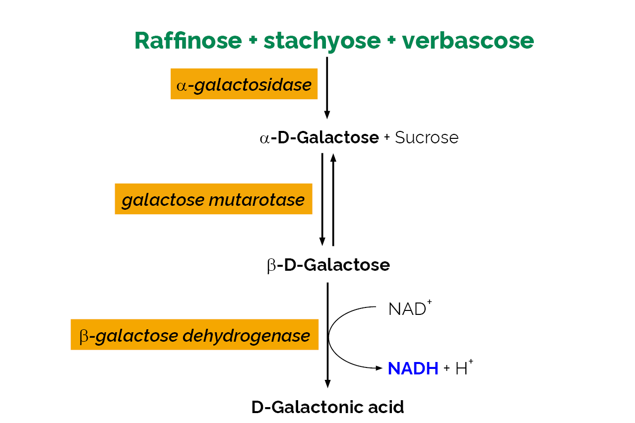 Raffinose/D-Galactose Assay Kit (K-RAFGA) Scheme Raffinose/D-Galactose Assay Kit (K-RAFGA) Scheme