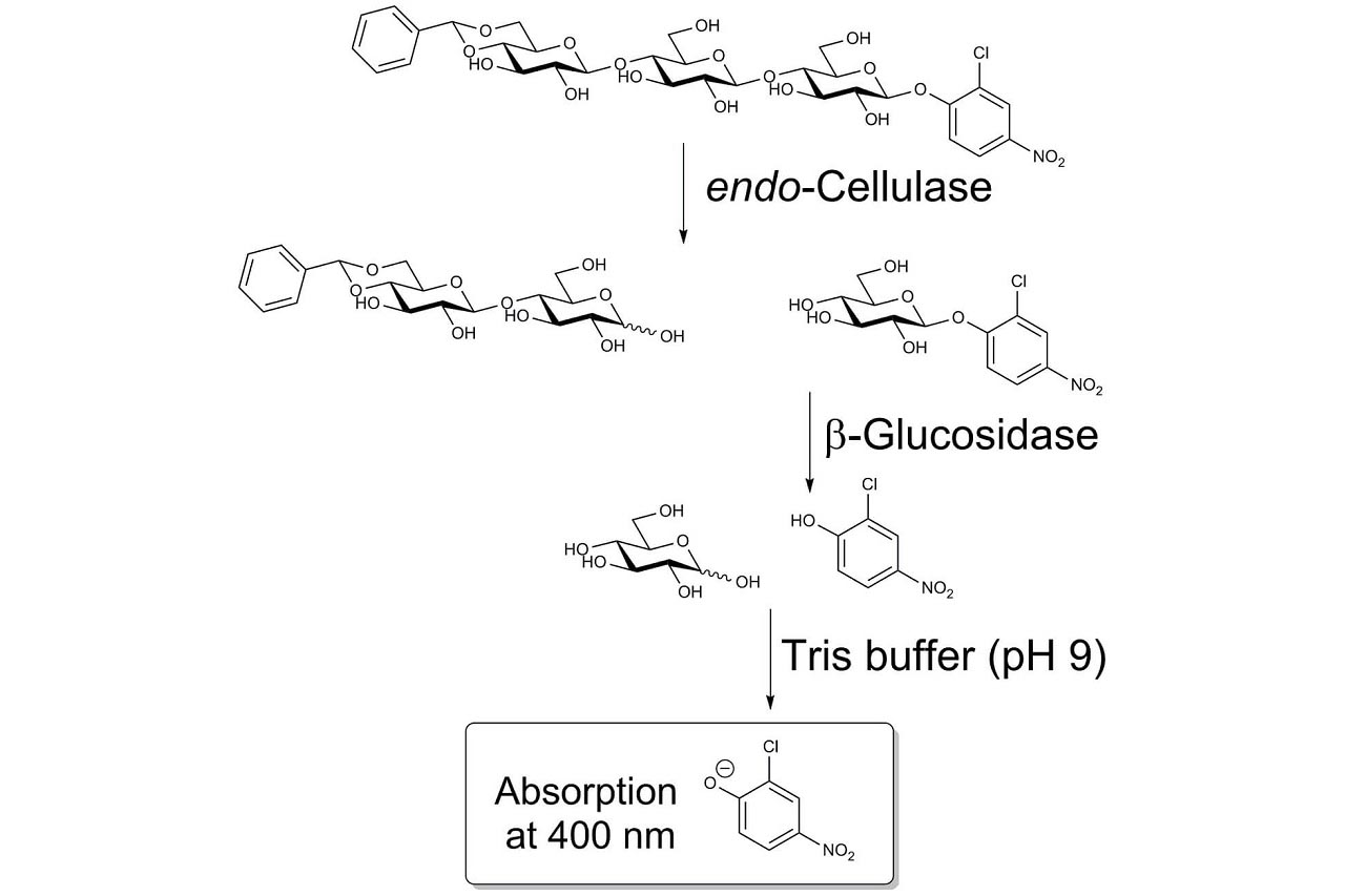 Cellulase Assay Kit (CellG3 Method) (K-CellG3) Cellulase Assay Kit (CellG3 Method) (K-CellG3)