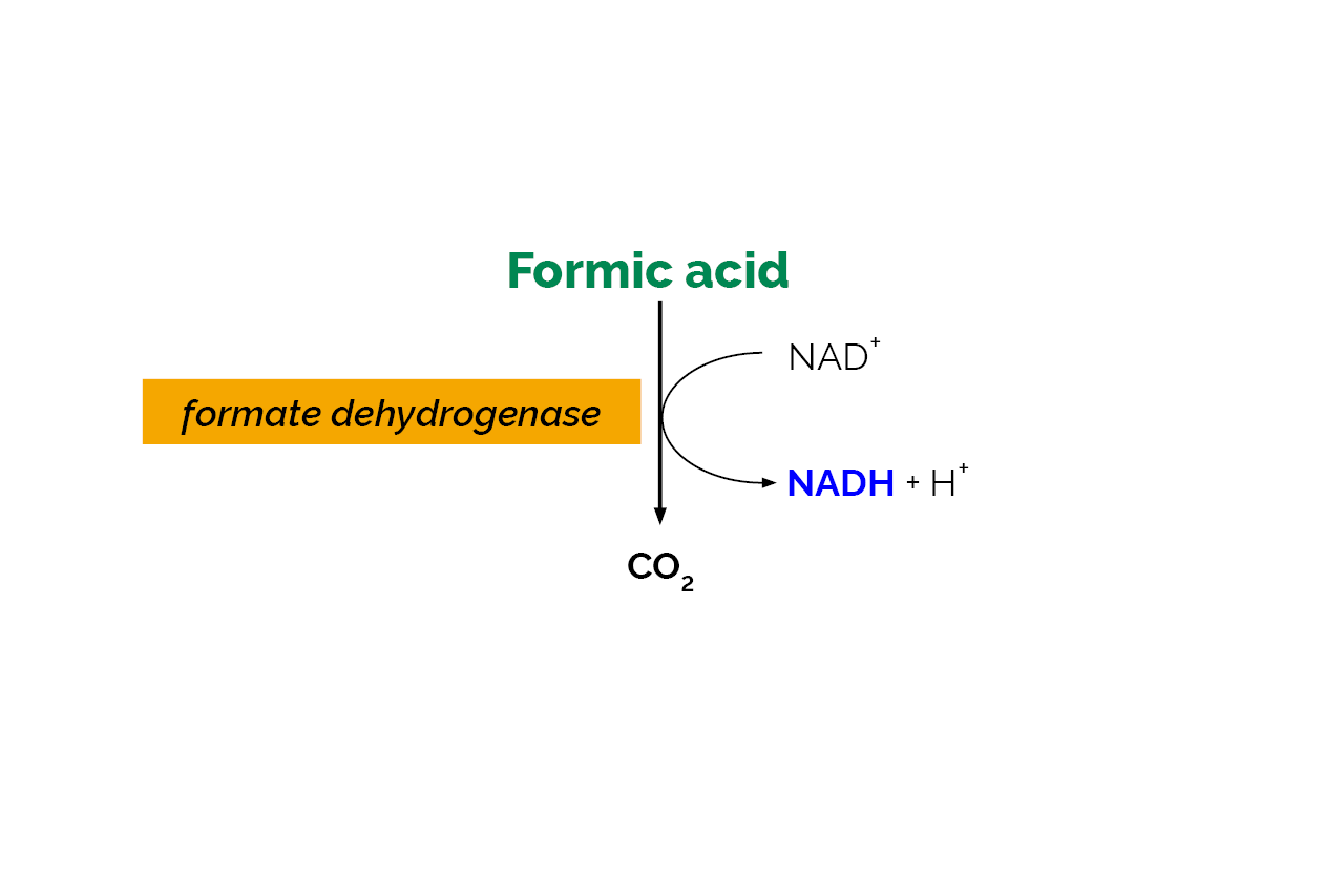 Formic Acid Assay Kit (K-FORM) Scheme Formic Acid Assay Kit (K-FORM) Scheme
