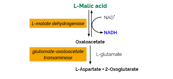 Scheme-K-LMALQR LMALQR Megazyme