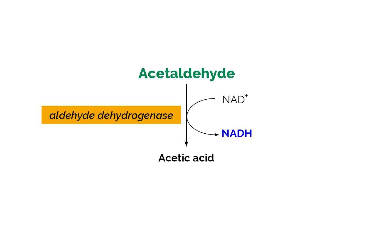 Acetaldehyde Assay Kit (K-ACHYD) Scheme Acetaldehyde Assay Kit (K-ACHYD) Scheme