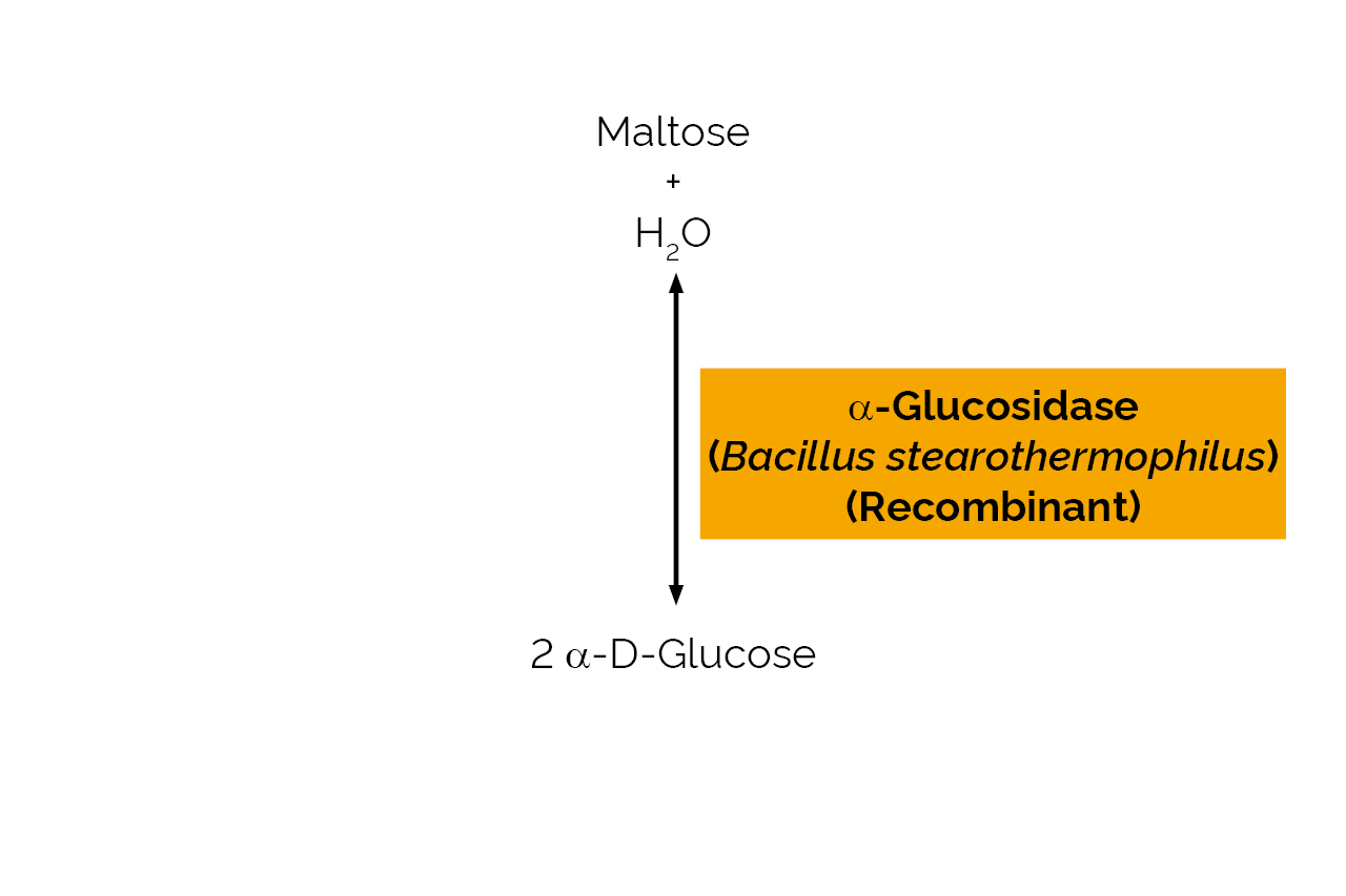 Alpha-Glucosidase (Bacillus stearothermophilus) (Recombinant) (E-TSAGS) Scheme Alpha-Glucosidase (Bacillus stearothermophilus) (Recombinant) (E-TSAGS) Scheme