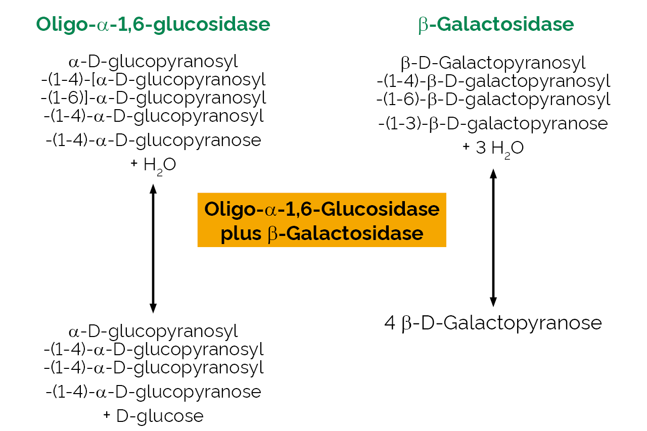 Oligo-alpha-1,6-Glucosidase plus beta-Galactosidase (E-BGOG) Scheme