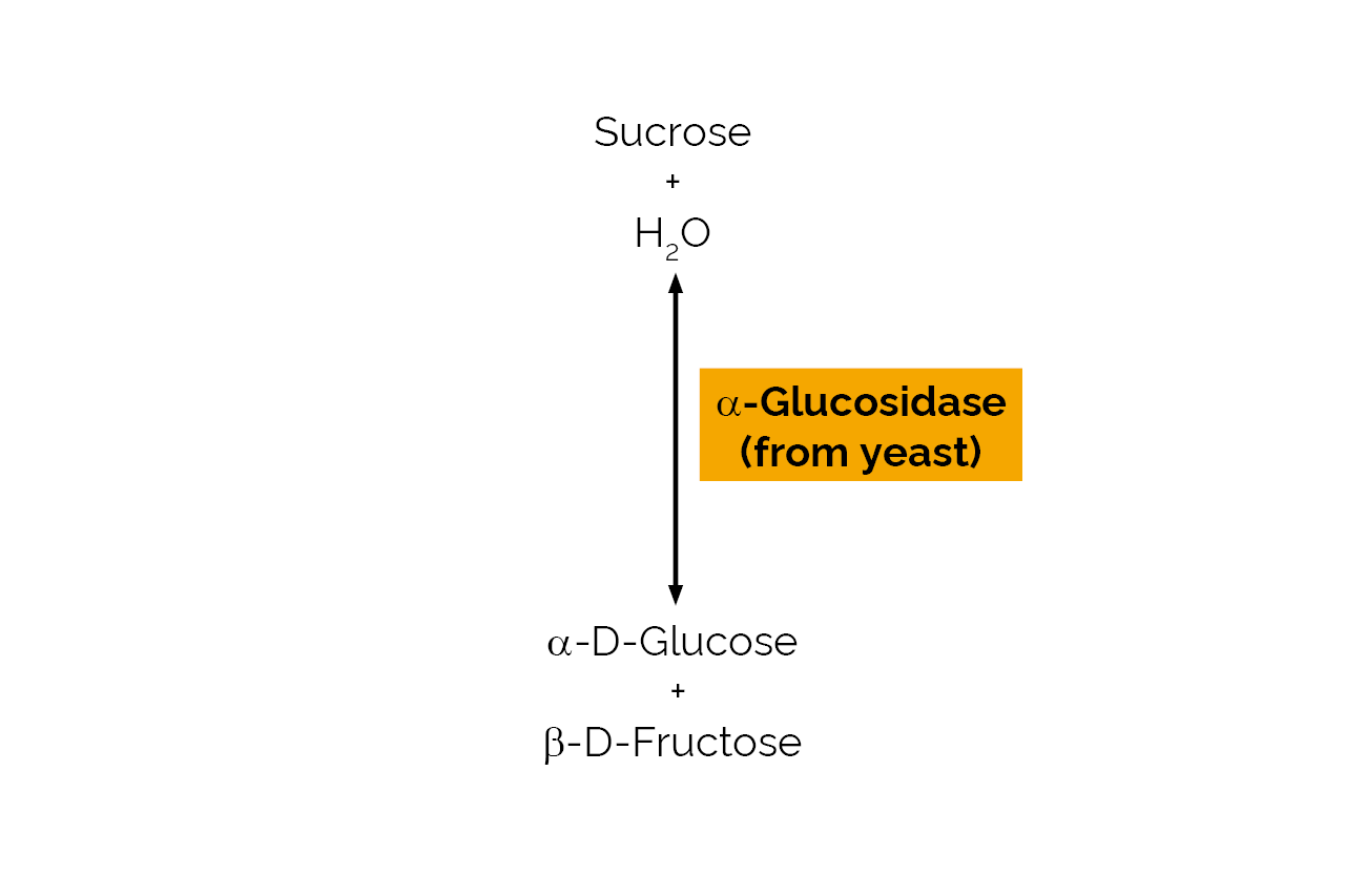 Sucrase (from yeast) (E-SUCR) Scheme Sucrase (from yeast) (E-SUCR) Scheme