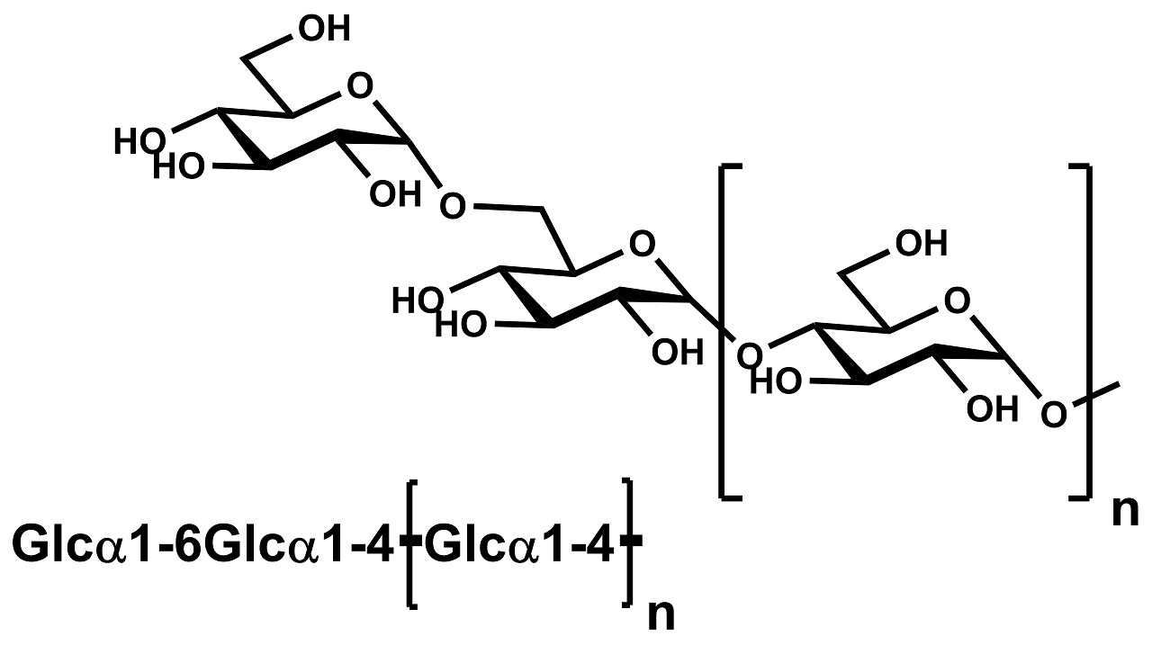 Beta-Limit Dextrin (P-BLDX)