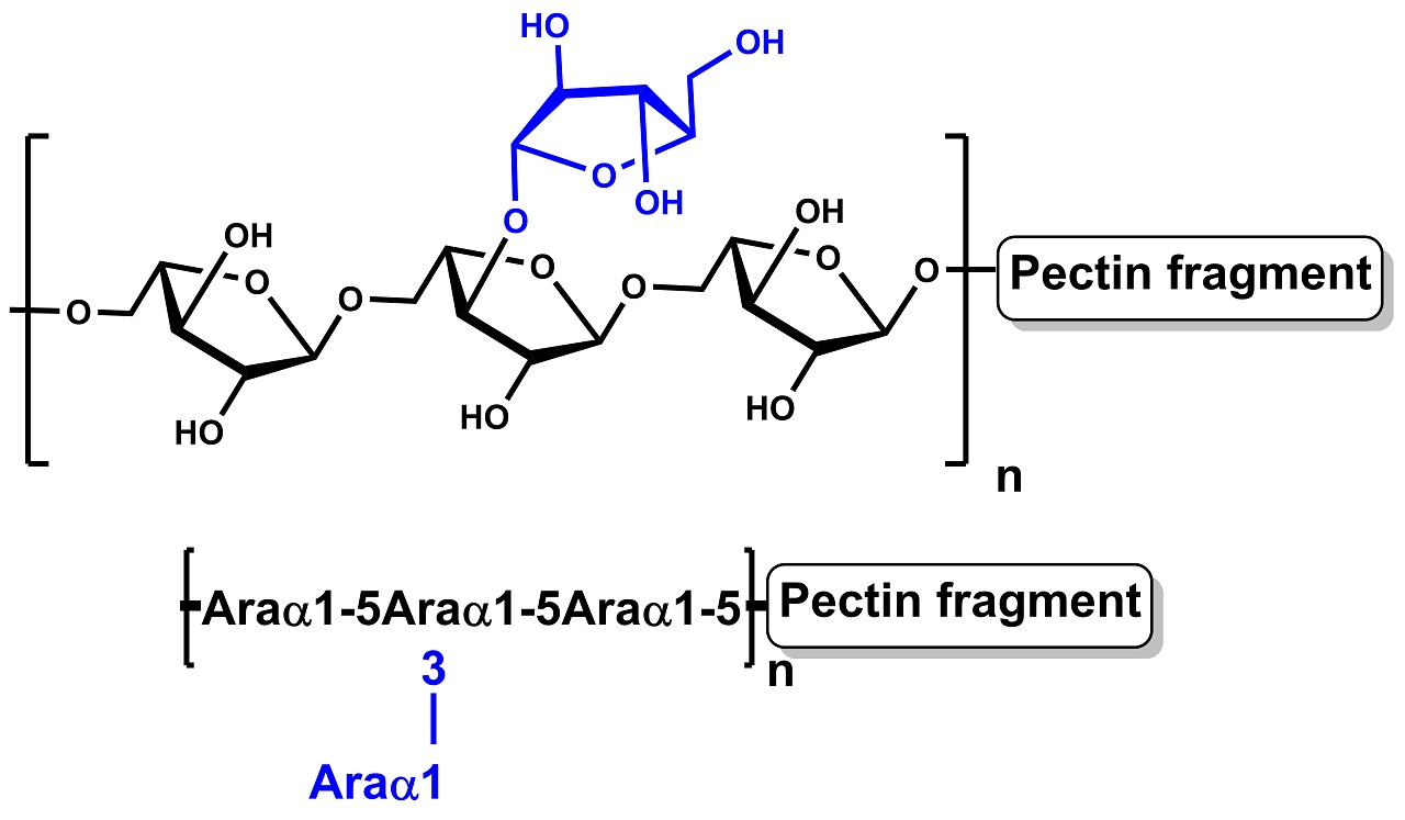 Arabinan (Sugar Beet) (P-ARAB) Arabinan (Sugar Beet) (P-ARAB)