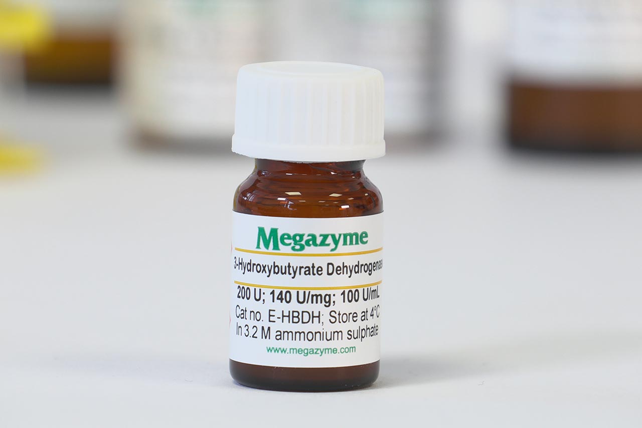 3-Hydroxybutyrate dehydrogenase (prokaryote) (E-HBDH) 3-Hydroxybutyrate dehydrogenase (prokaryote) (E-HBDH)