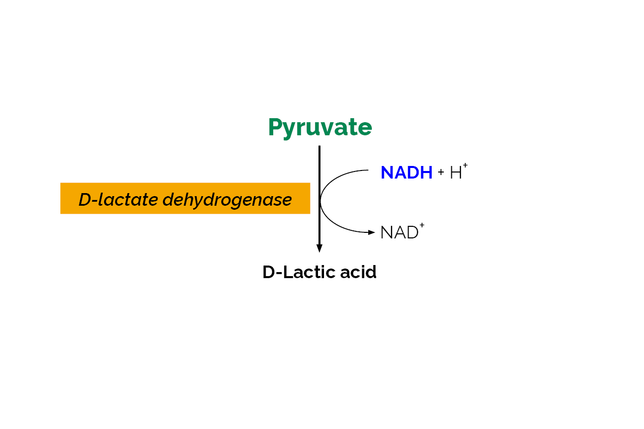 Pyruvic Acid Assay Kit (K-PYRUV) Scheme