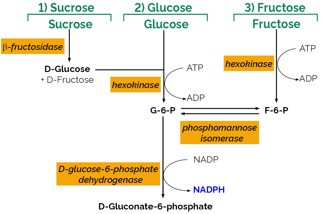 Sucrose/D-Fructose/D-Glucose Assay Kit (K-SUFRG) Scheme