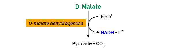 Scheme-K-DMAL DMAL Megazyme