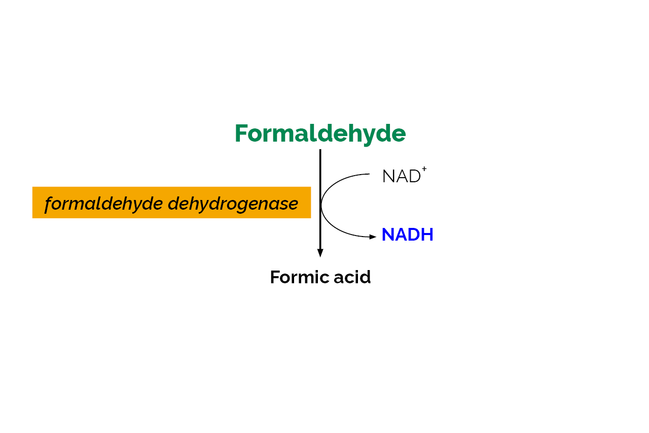 Formaldehyde Assay Kit (K-FRHYD) Scheme Formaldehyde Assay Kit (K-FRHYD) Scheme