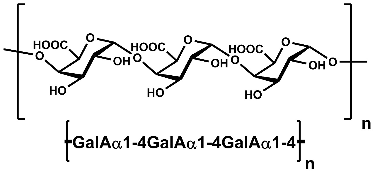 Polygalacturonic Acid (from Citrus Pectin) (P-PGACIT)