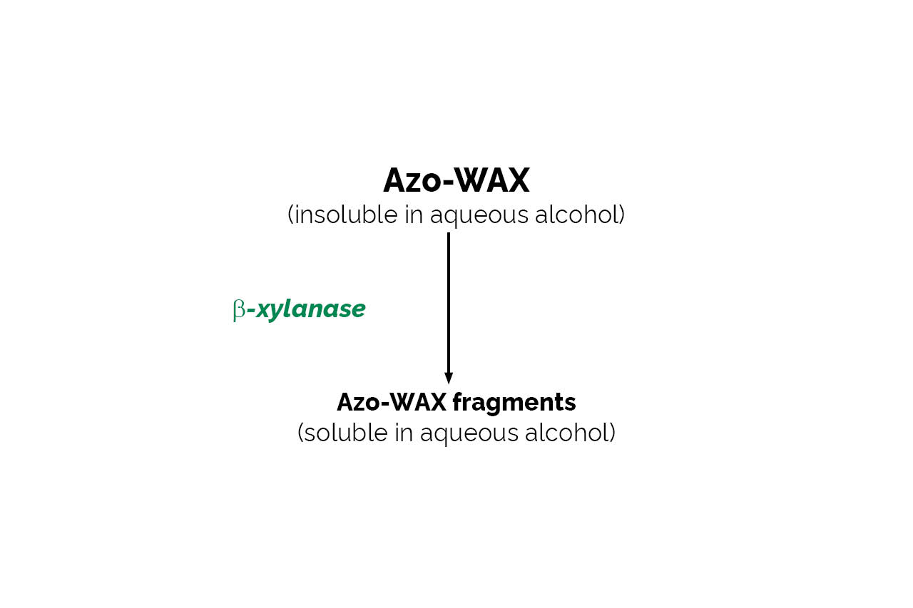 Xylanase Assay Kit (Azo-Wax) (K-AZOWAX) Scheme Xylanase Assay Kit (Azo-Wax) (K-AZOWAX) Scheme