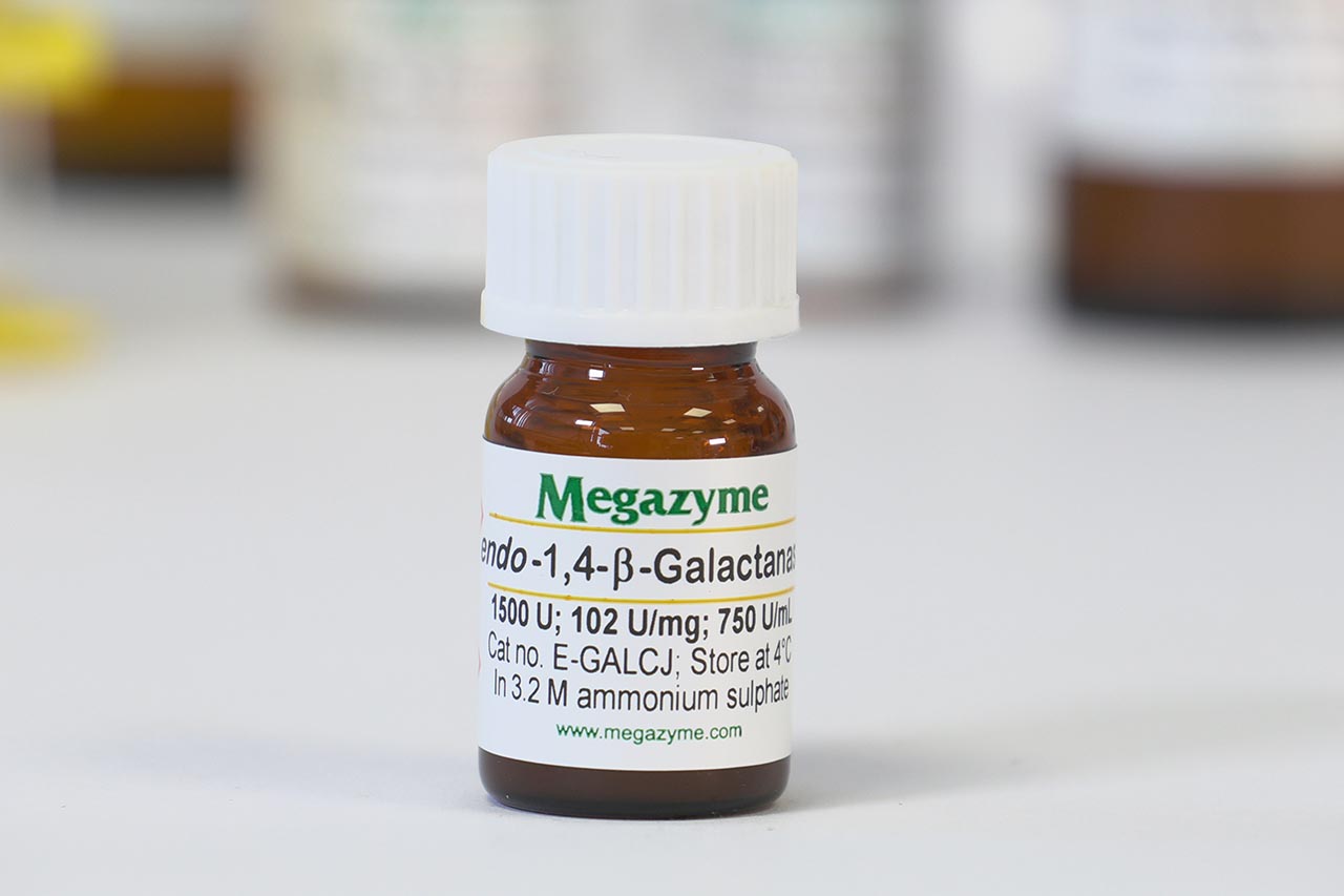 endo-1,4-beta-Galactanase (Cellvibrio japonicus) (E-GALCJ)