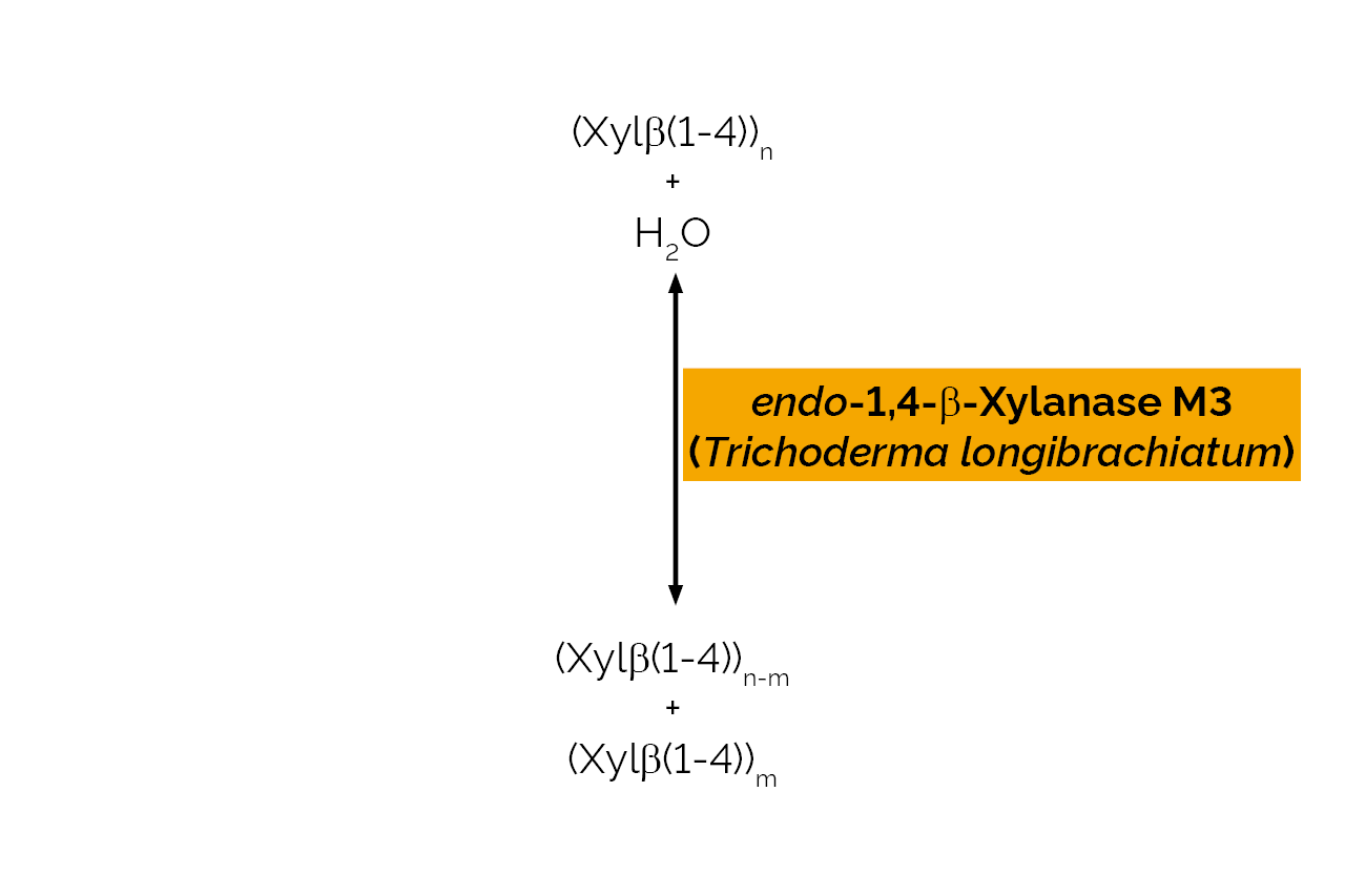 endo-1,4-beta-Xylanase M3 (Trichoderma longibrachiatum) (E-XYTR3) Scheme endo-1,4-beta-Xylanase M3 (Trichoderma longibrachiatum) (E-XYTR3) Scheme