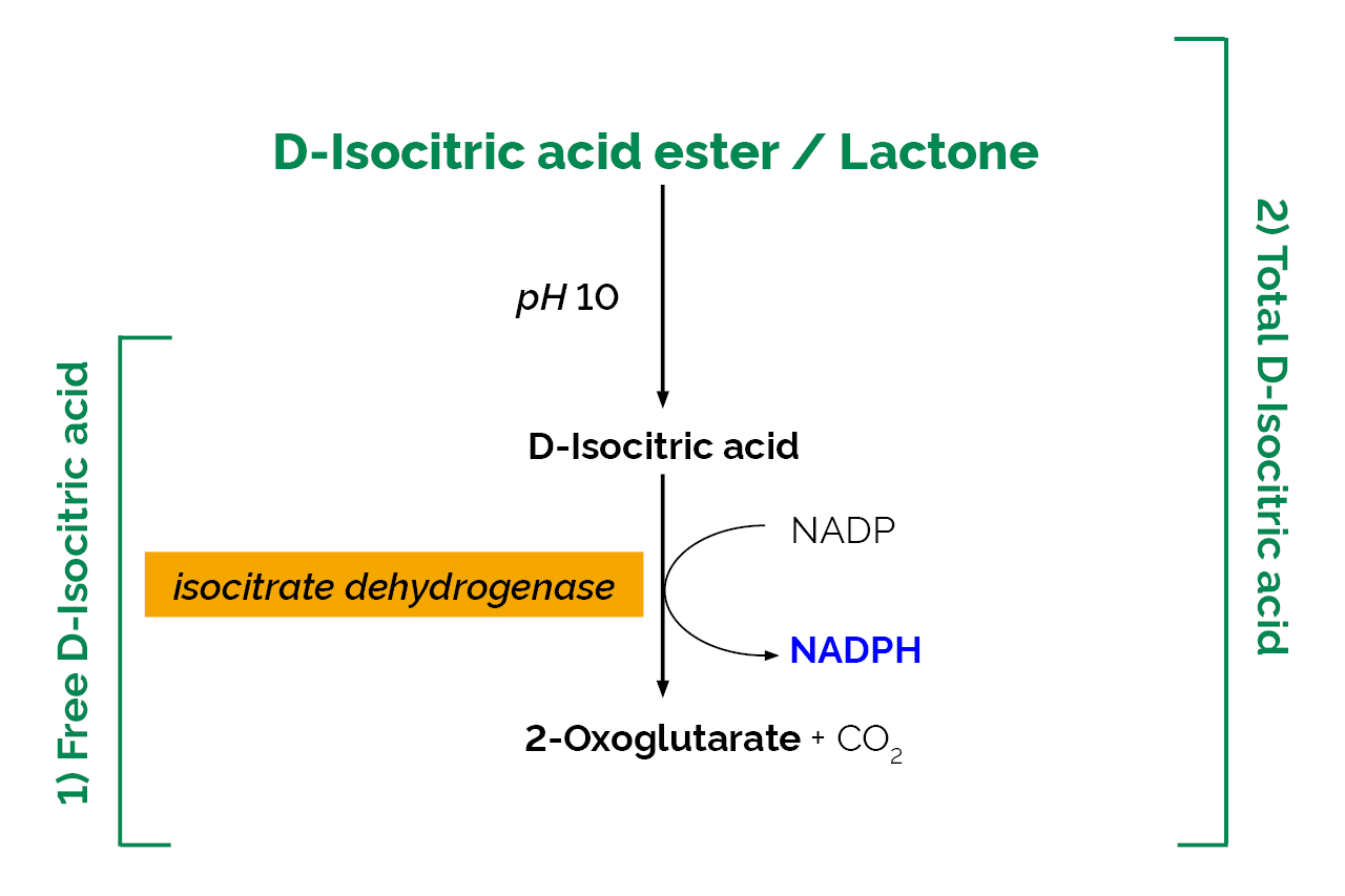 D-Isocitric Acid Assay Kit (K-ISOC) Scheme