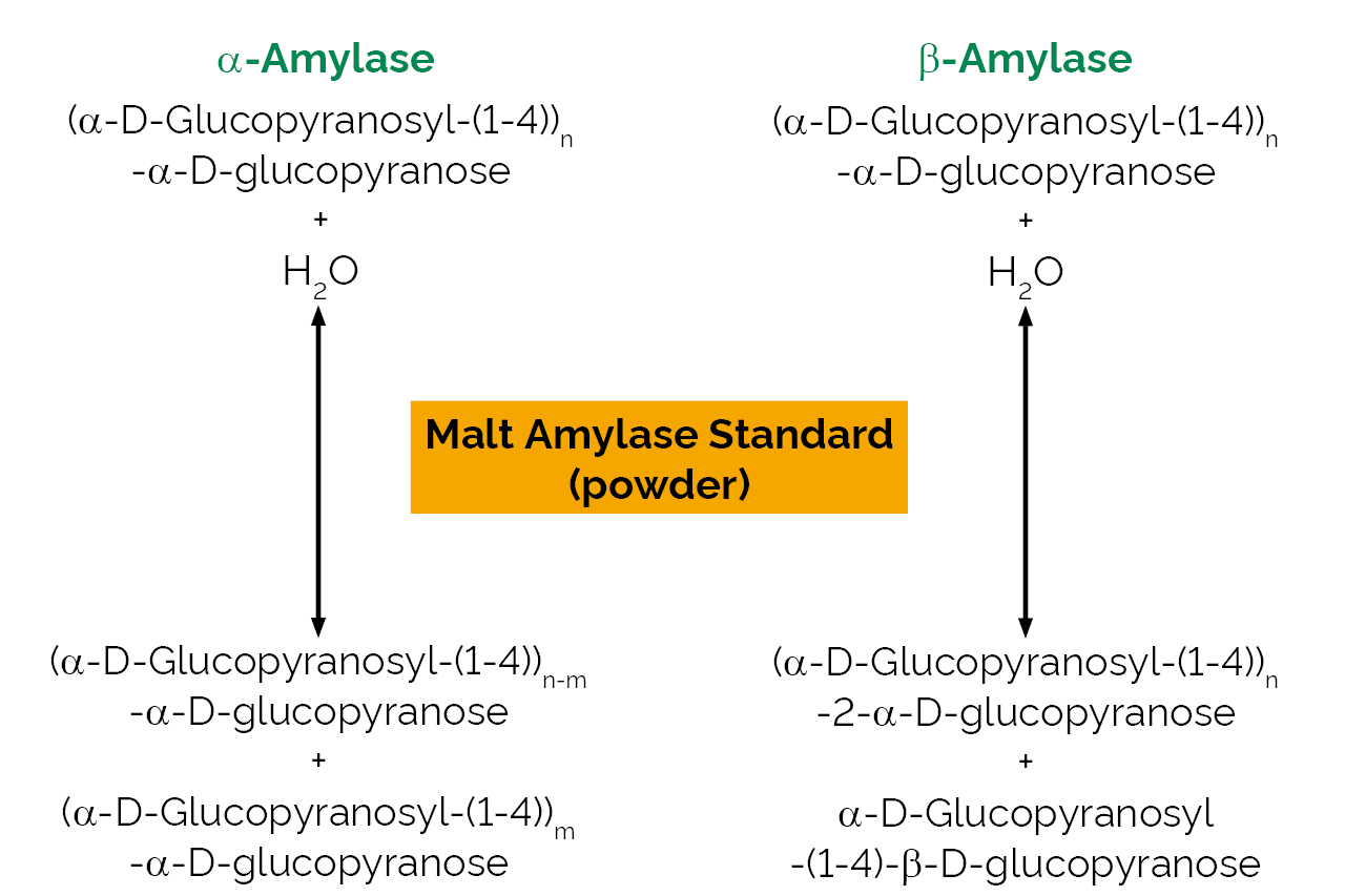 Malt amylase standard (powder) (E-MASTP) Scheme