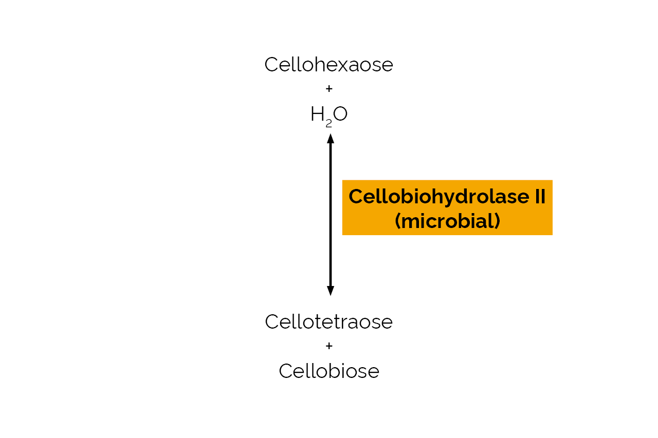 Cellobiohydrolase II (microbial) (E-CBHIIM) Scheme