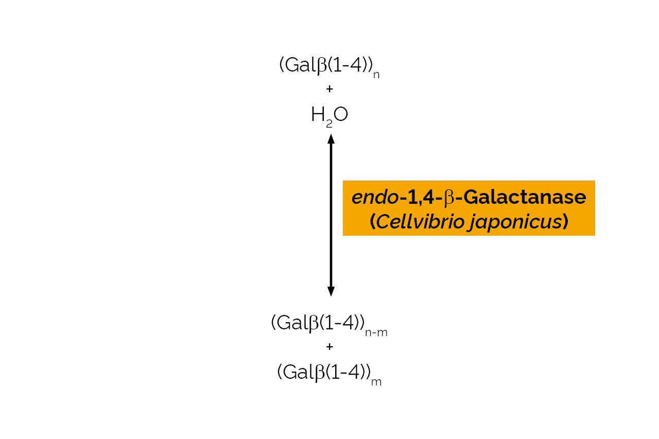 endo-1,4-beta-Galactanase (Cellvibrio japonicus) (E-GALCJ) Scheme