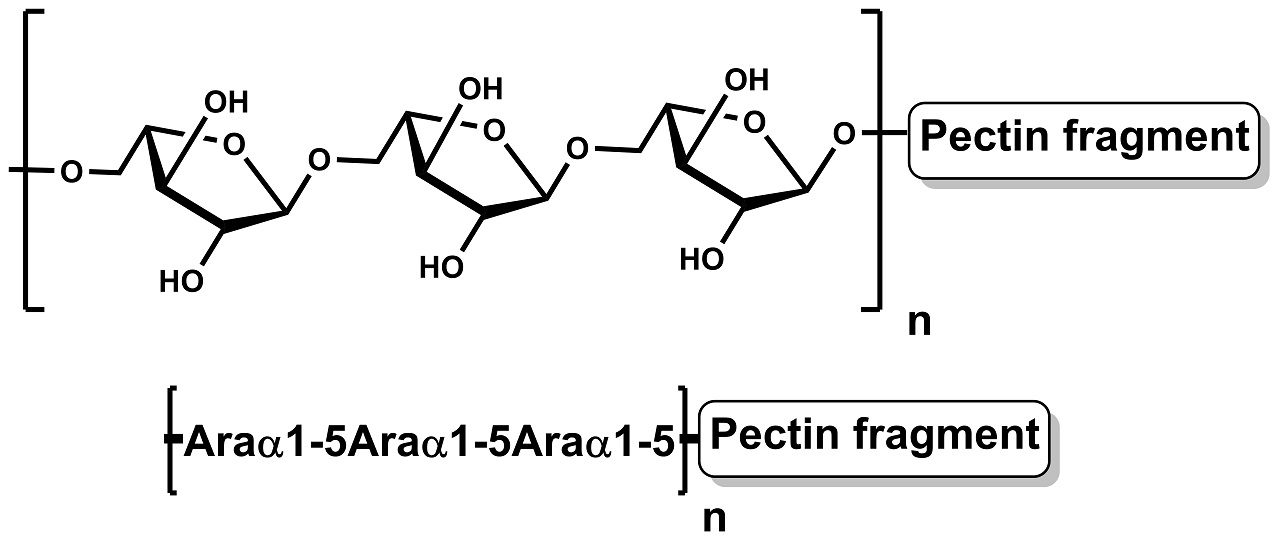 Debranched Arabinan (Sugar Beet) (P-DBAR)