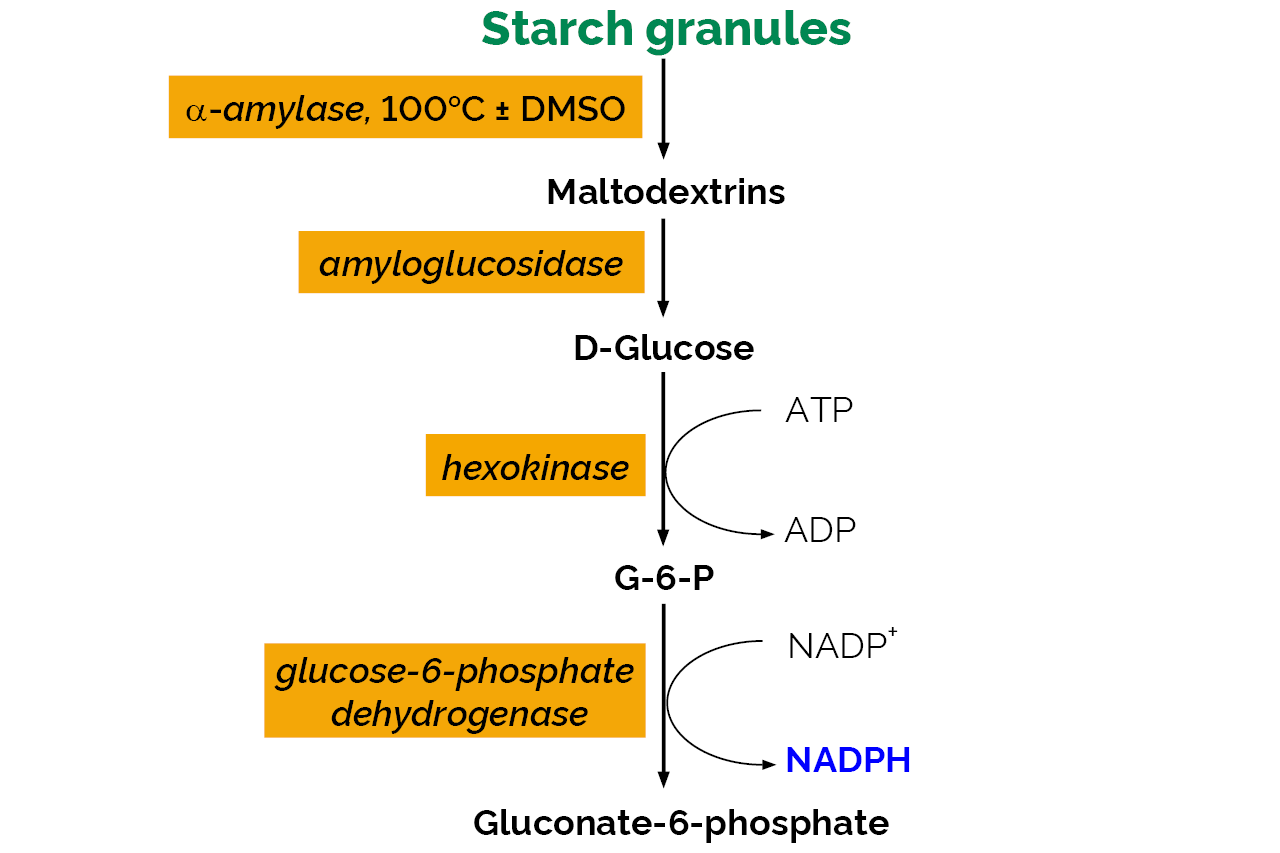 Total Starch HK Assay Kit (K-TSHK) Scheme Total Starch HK Assay Kit (K-TSHK) Scheme